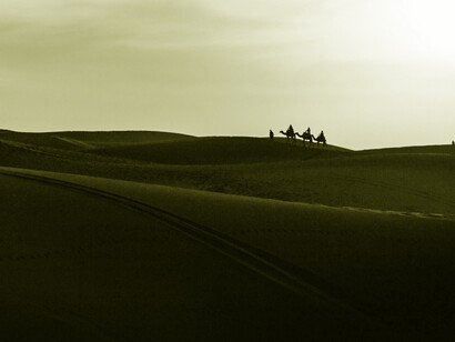 Oasi nel deserto