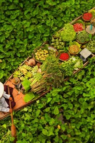 The Floating Market