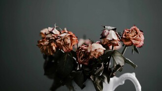 Das Dilemma für die Ärzte und ihren Eid