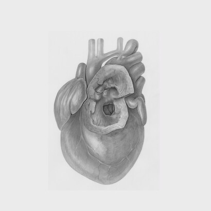 Nuovi farmaci, tra cui quelli per il controllo del peso e del colesterolo, stanno modificando l’approccio terapeutico in cardiologia
