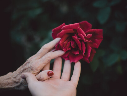 La bellezza e la caducità