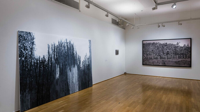 Divers artistes, La forêt. Solitudes et solidarités, vue d’exposition. Courtoisie de Cercle Cité