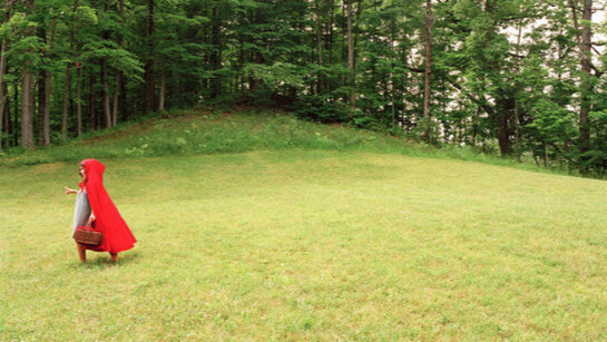 Dread & Delight. Courtesy of Akron Art Museum