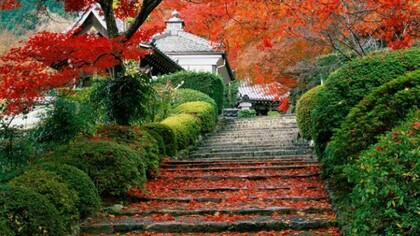Stairs painted in all the colors. Kyoto