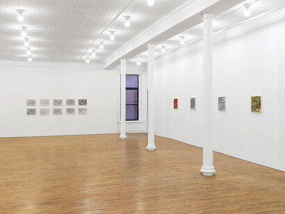 Lu Ferreira, Estranhas luzes no bosque, exhibition view. Courtesy of Tara Downs