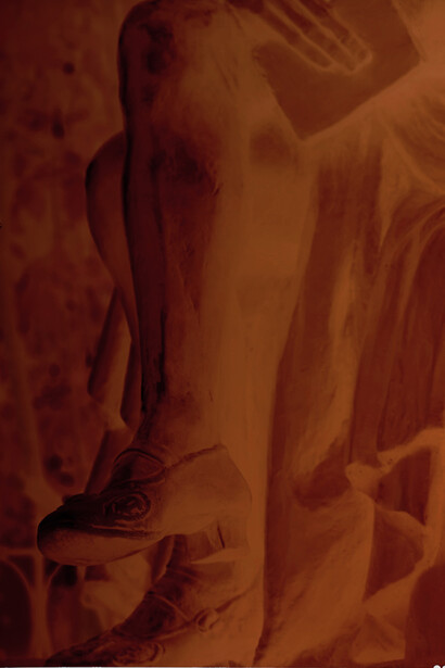 Eloise Hawser, Montaigne 2, 2013, Large format negative, 28-35cm © the artist