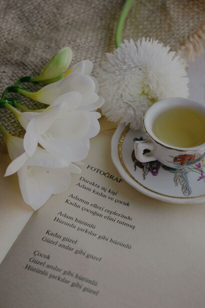 O verdadeiro entendimento de uma obra de arte, incluindo a poesia, advém do amor e da solidão, e não da crítica