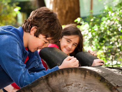 Forest gallery, exhibition view. Courtesy of Melbourne Museum