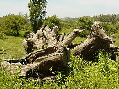 Las tasas de pobreza en el medio rural son hasta dos y tres veces mayores que las de zonas urbanas, Alta Gracia, Córdoba, Argentina