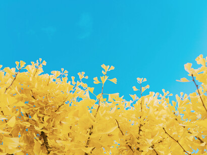 Fue la Naturaleza la que nos cortó el espacio y la que construyó la jaula