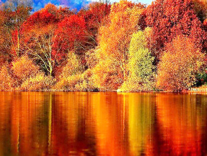 Autunno: energeticamente lo Yin entra nello Yang