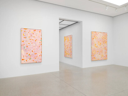 Tunji Adeniyi-Jones, Immersions, exhibition view. Courtesy of White Cube