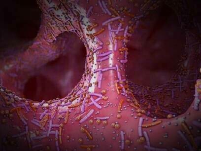 Microbiota intestinale: è fondamentale mantenere l'equilibrio del microbiota intestinale
