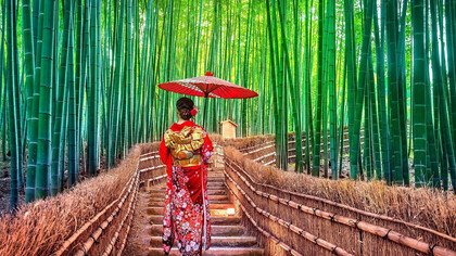 Il popolo del Sol Levante maestro delle buone abitudini a cui ispirarsi nella vita 