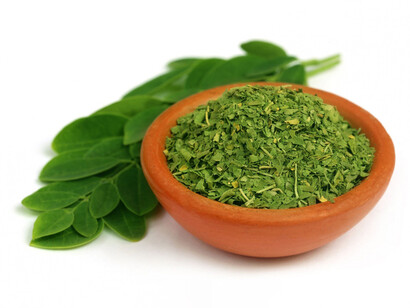 Moringa oleifera is also used to treat arthritis, anemia, allergies, epilepsy, diabetes, high blood pressure