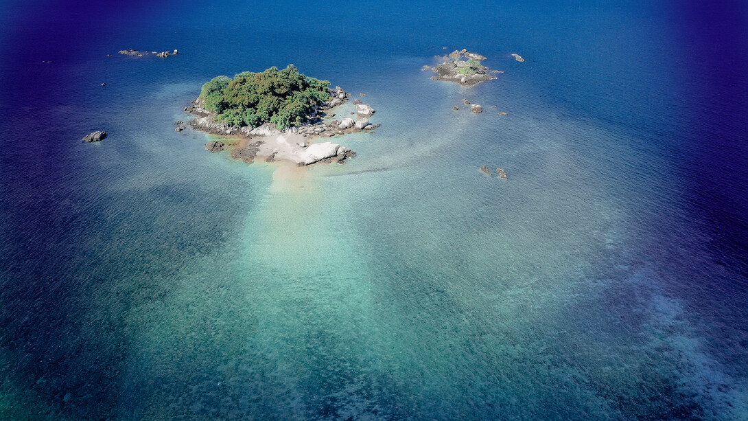 Ile aux Aigrettes in the Indian Ocean, part of the islands of Mauritius