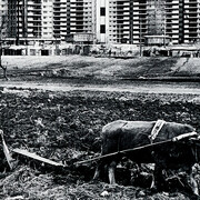 Jun Min Cho, Gangnam view of Hyundai apartment blocks. Courtesy of Museum Rietberg