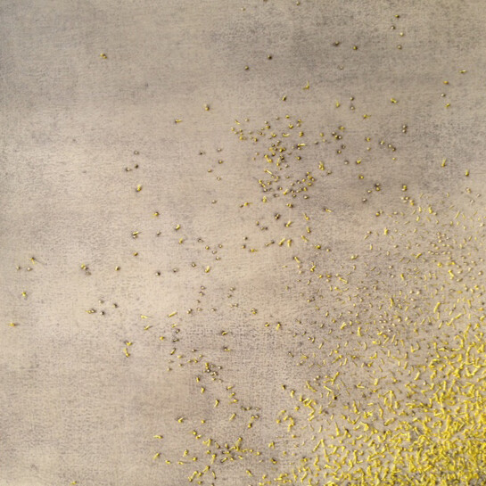 Hilary Ellis, Yellow Swarm, 2015