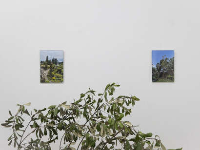 Sena Park, I touch the surface, we draw wild beauty, exhibition view. Courtesy of Enjoy Contemporary Art Space