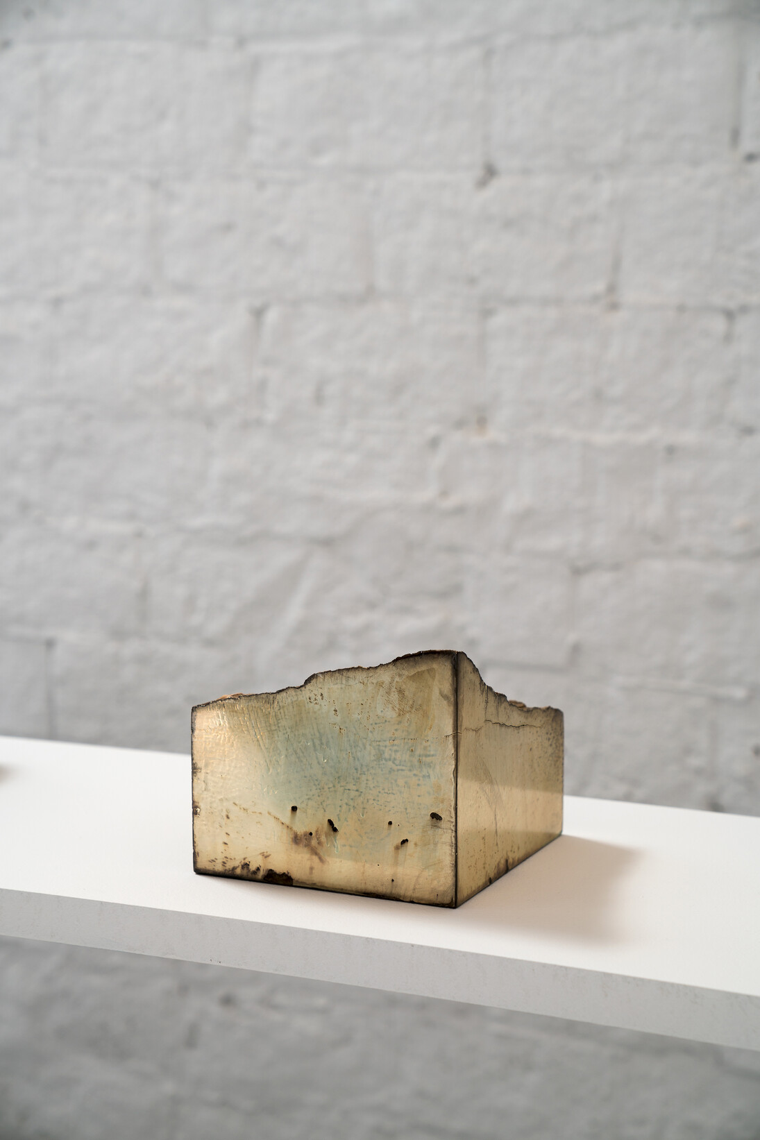 Michael Joo. Courtesy of Galeria Carles Taché