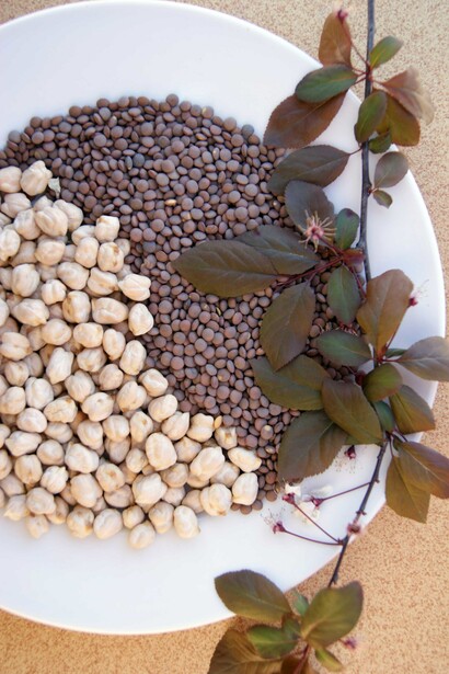 Legumbres variadas. Foto: Patricia Rodríguez Wagner