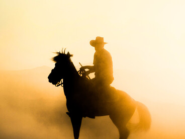 Horses are very sensitive creatures, after all