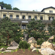 Japan Fever. Courtesy of Arp Museum