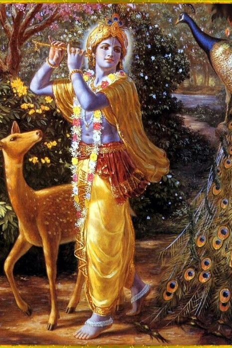 Il viaggio di Krishna