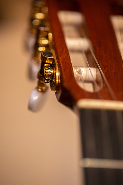 Hopf instruments are now legendary amongst an elite echelon of guitarists, cherished by performers worldwide, ph. Michael Stillwater