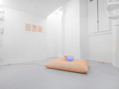 Gioia Di Girolamo - Assisted Service for Miracle Reactions. Exhibition view, Dimora Artica (ph Massimiliano Costantini)