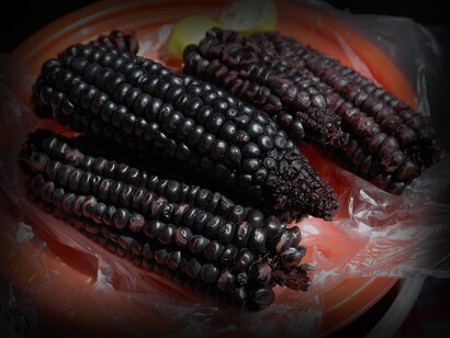 Actualmente, se están realizando esfuerzos para revalorizar el maíz morado peruano, ya que este grano andino ancestral no solo tiene una rica historia, sino también un gran valor nutritivo