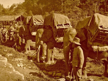 Brigade marechaussee met olifantentransport te Lammeulo, 1928.  Courtesy of M HKA 
