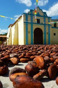 Semillas de cacao ante la iglesia de Chuao