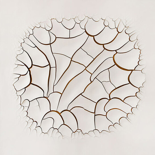 Adriana Varejão, Monocromo Roma I, 2016, Oil and plaster on canvas, 70 7/8 × 70 7/8 inches (180 × 180 cm) © Adriana Varejão. Photo by Vicente de Mello