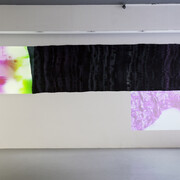 Installation view, Woodall, Hilary Lloyd, Temple Bar Gallery + Studios, 2017. Photo by Kasia Kaminska
