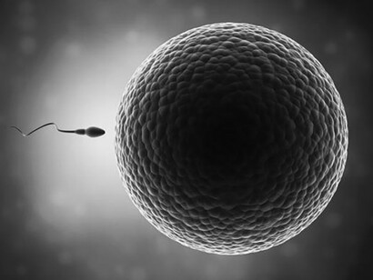 Le don de spermatozoïdes et d’ovocytes. Ces deux types de dons permettent à des milliers de personnes de réaliser leur rêve de fonder une famille