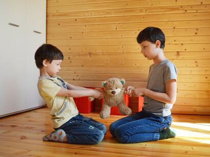 Colegas brigam por quererem brincar com o mesmo ursinho