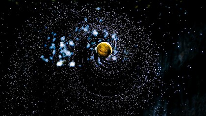 Swarms of stars, nebulae and galaxies 