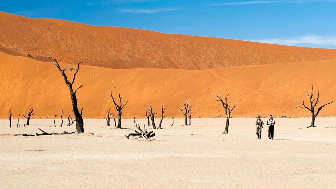 O Deserto do Namíbia está localizado na costa atlântica da Namíbia, no sudoeste africano, chegando a sua parte mais setentrional até o sul de Angola