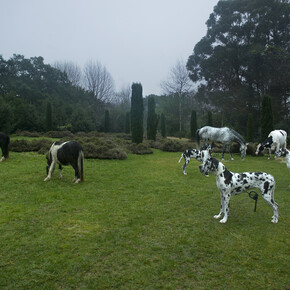 Bethan Huws, Black and white animals, 2009, Colour inkjet print on Hahnemühle paper, 100 x 106 cm, Courtesy of the artist, Copyrights Bethan Huws & A.D.A.G.P. Paris, 2015, Photograph : Filipe Braga
