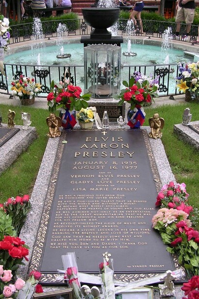 The King © Drew Douglas