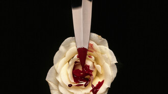 Faca e flor