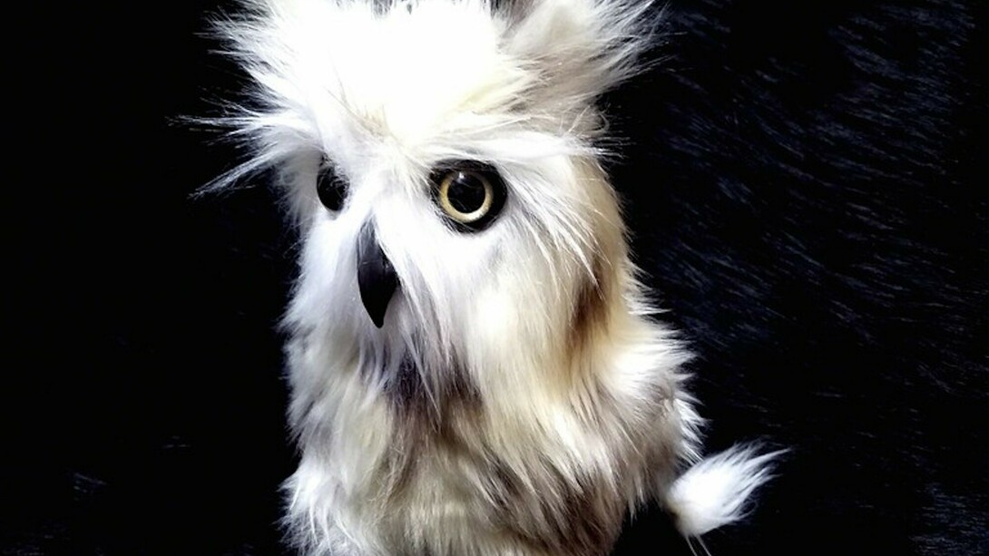 Adventure Awaits. Courtesy of Flower Pepper Gallery