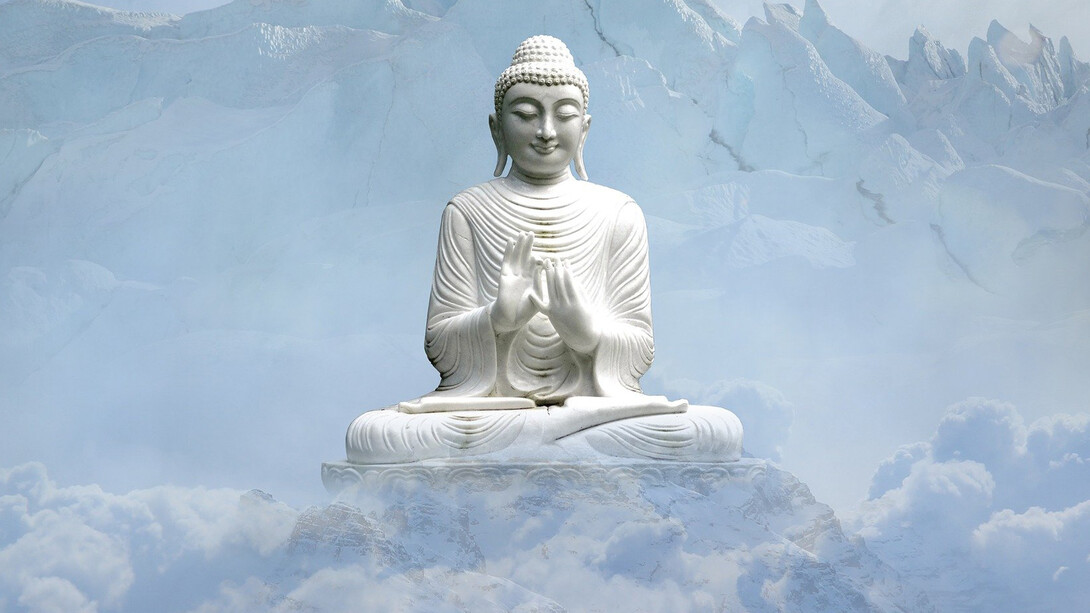 Il tuo scopo nella vita è quello di trovare uno scopo e dargli tutto il tuo cuore (Buddha)