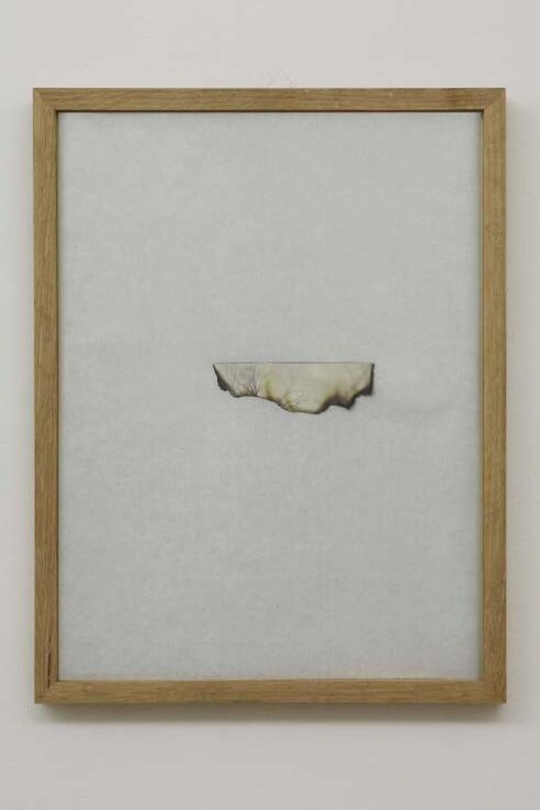 Sophie Ko Chkheidze, Waldgänger, 2013, 37 x 28 cm