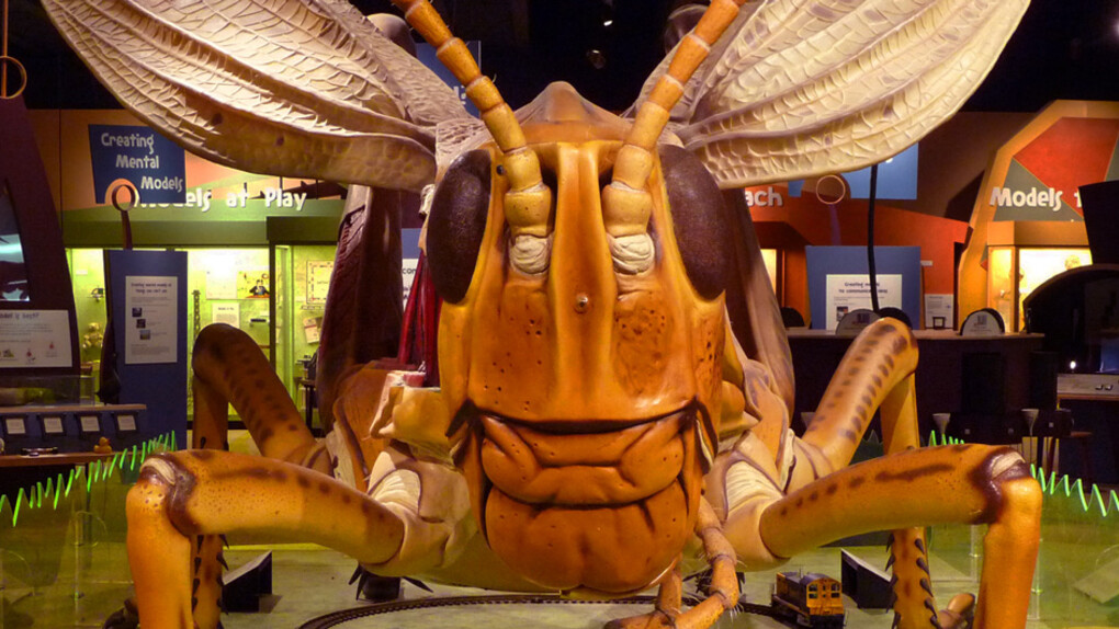 Making Models. Courtesy of Museum of Science 