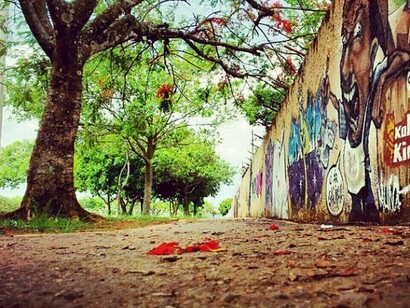 Um parque negligenciado