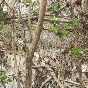 This is climate change. Courtesy of Southeast Museum of Photography