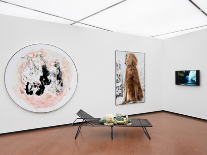Various artists, Animalia. Of animals and humans, exhibition view. Courtesy of Heidi Horten Collection 