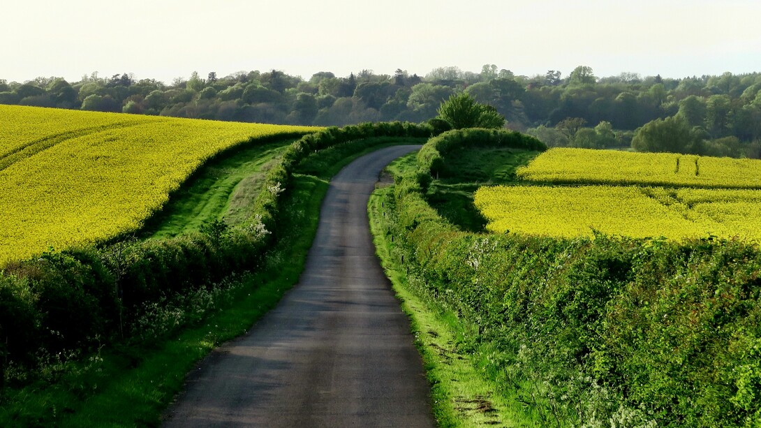 Campagna